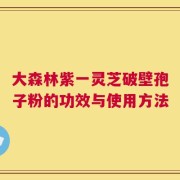 大森林紫一灵芝破壁孢子粉的功效与使用方法