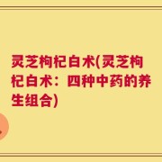灵芝枸杞白术(灵芝枸杞白术：四种中药的养生组合)