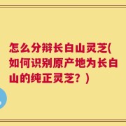 怎么分辩长白山灵芝(如何识别原产地为长白山的纯正灵芝？)