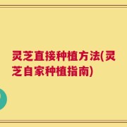 灵芝直接种植方法(灵芝自家种植指南)