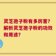 灵芝孢子粉有多厉害？解析灵芝孢子粉的功效和用途？