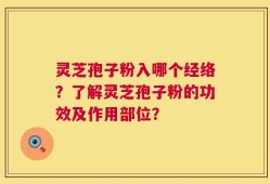 灵芝孢子粉入哪个经络？了解灵芝孢子粉的功效及作用部位？
