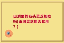 山洞里的石头灵芝能吃吗(山洞灵芝能否食用？)