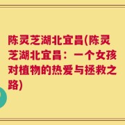 陈灵芝湖北宜昌(陈灵芝湖北宜昌：一个女孩对植物的热爱与拯救之路)