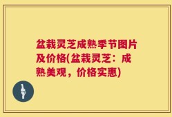 盆栽灵芝成熟季节图片及价格(盆栽灵芝：成熟美观，价格实惠)