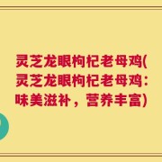 灵芝龙眼枸杞老母鸡(灵芝龙眼枸杞老母鸡：味美滋补，营养丰富)