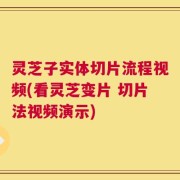 灵芝子实体切片流程视频(看灵芝变片 切片法视频演示)
