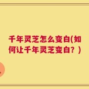 千年灵芝怎么变白(如何让千年灵芝变白？)