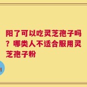 阳了可以吃灵芝孢子吗？哪类人不适合服用灵芝孢子粉