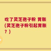 吃了灵芝孢子粉 胃胀(灵芝孢子粉引起胃胀？)