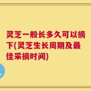 灵芝一般长多久可以摘下(灵芝生长周期及最佳采摘时间)