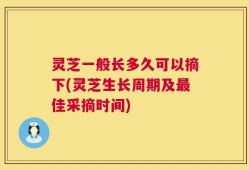 灵芝一般长多久可以摘下(灵芝生长周期及最佳采摘时间)