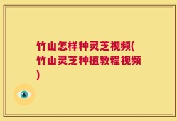 竹山怎样种灵芝视频(竹山灵芝种植教程视频)