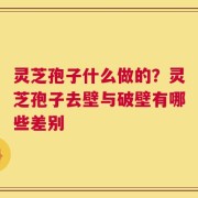 灵芝孢子什么做的？灵芝孢子去壁与破壁有哪些差别