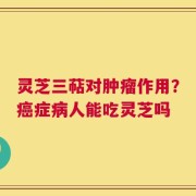 灵芝三萜对肿瘤作用？癌症病人能吃灵芝吗