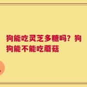 狗能吃灵芝多糖吗？狗狗能不能吃蘑菇