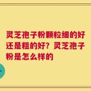 灵芝孢子粉颗粒细的好还是粗的好？灵芝孢子粉是怎么样的
