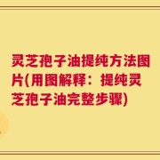 灵芝孢子油提纯方法图片(用图解释：提纯灵芝孢子油完整步骤)