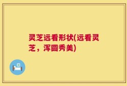 灵芝远看形状(远看灵芝，浑圆秀美)