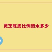 灵芝陈皮比例泡水多少