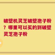 破壁机灵芝破壁孢子粉？哪里可以买的到破壁灵芝孢子粉