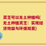 灵芝可以无土种植吗(无土种植灵芝：实现经济效益与环保双赢)