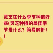 灵芝在什么季节种植好些(灵芝种植的最佳季节是什么？简易解析！)