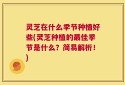 灵芝在什么季节种植好些(灵芝种植的最佳季节是什么？简易解析！)