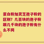 蛋白粉加灵芝孢子粉的区别？几百块的孢子粉跟几千块的孢子粉有什么不同