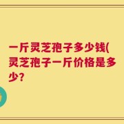 一斤灵芝孢子多少钱(灵芝孢子一斤价格是多少？