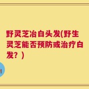 野灵芝冶白头发(野生灵芝能否预防或治疗白发？)