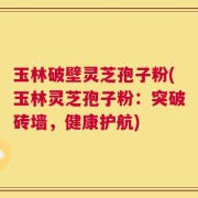 玉林破壁灵芝孢子粉(玉林灵芝孢子粉：突破砖墙，健康护航)
