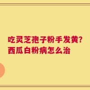 吃灵芝孢子粉手发黄？西瓜白粉病怎么治