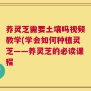 养灵芝需要土壤吗视频教学(学会如何种植灵芝——养灵芝的必读课程