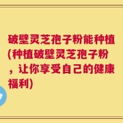 破壁灵芝孢子粉能种植(种植破壁灵芝孢子粉，让你享受自己的健康福利)