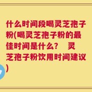 什么时间段喝灵芝孢子粉(喝灵芝孢子粉的最佳时间是什么？  灵芝孢子粉饮用时间建议)