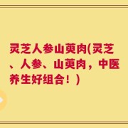 灵芝人参山萸肉(灵芝、人参、山萸肉，中医养生好组合！)
