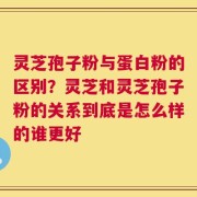 灵芝孢子粉与蛋白粉的区别？灵芝和灵芝孢子粉的关系到底是怎么样的谁更好
