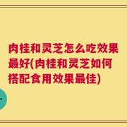 肉桂和灵芝怎么吃效果最好(肉桂和灵芝如何搭配食用效果最佳)