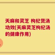 天麻和灵芝 枸杞煲汤功效(天麻灵芝枸杞汤的健康作用)