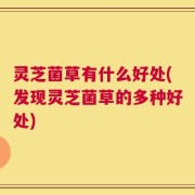 灵芝菌草有什么好处(发现灵芝菌草的多种好处)