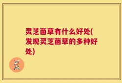 灵芝菌草有什么好处(发现灵芝菌草的多种好处)