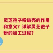 灵芝孢子粉破壳的作用和意义？详解灵芝孢子粉的加工过程？