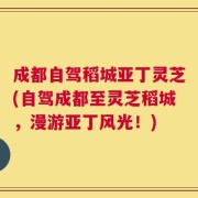 成都自驾稻城亚丁灵芝(自驾成都至灵芝稻城，漫游亚丁风光！)