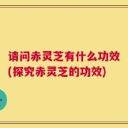请问赤灵芝有什么功效(探究赤灵芝的功效)