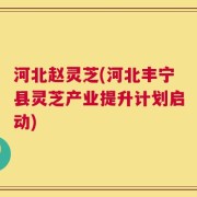 河北赵灵芝(河北丰宁县灵芝产业提升计划启动)