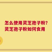 怎么使用灵芝孢子粉？灵芝孢子粉如何食用