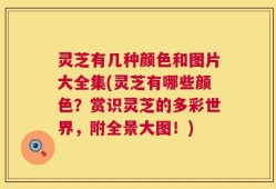 灵芝有几种颜色和图片大全集(灵芝有哪些颜色？赏识灵芝的多彩世界，附全景大图！)