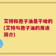 艾特和孢子油是干啥的(艾特与孢子油的用途简介)