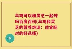 乌鸡可以和灵芝一起炖吗百度百科(乌鸡和灵芝的营养炖汤：适宜配对的好选择)